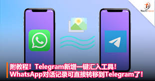 如何在 Android 和 iOS 上将 WhatsApp