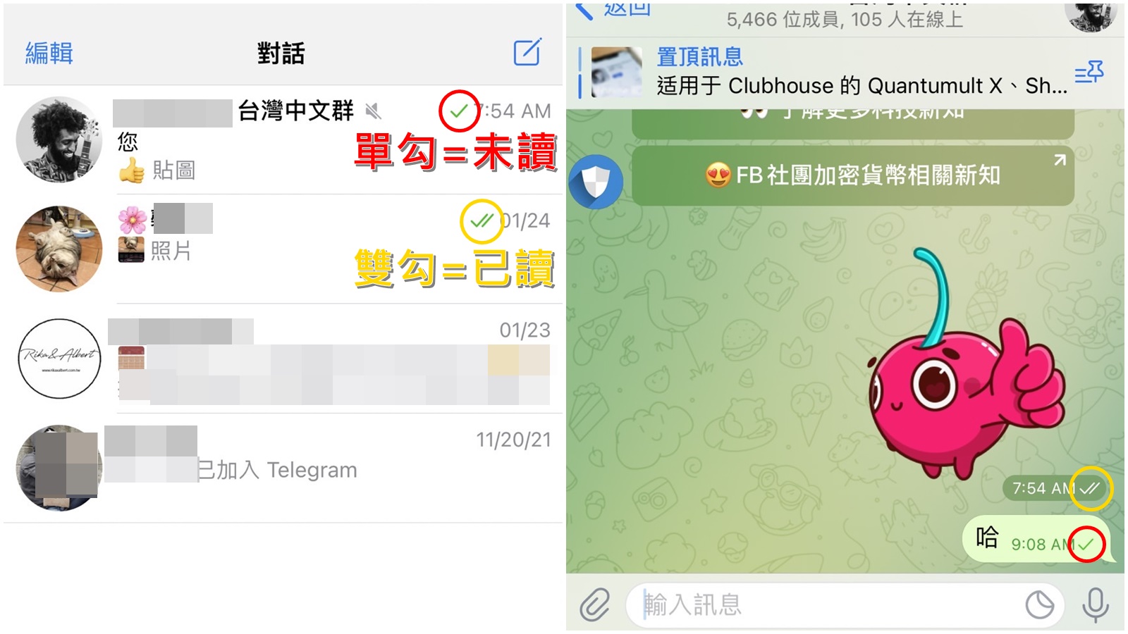 Telegram怎么看对方是否已读？