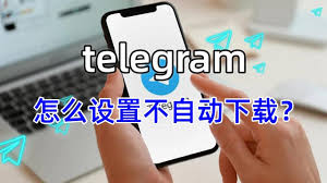 如何在 Telegram Desktop 上禁用自动媒体下载