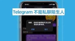 telegram被限制的原因有哪些？telegram被限制要如何