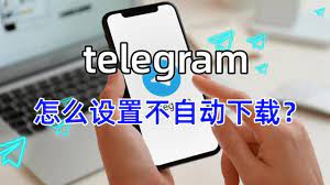 在 Telegram 中禁用自动视频下载