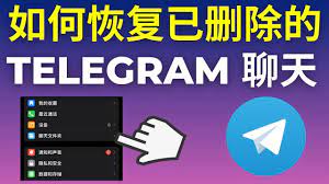 如何在 Telegram 中查看已删除的消息